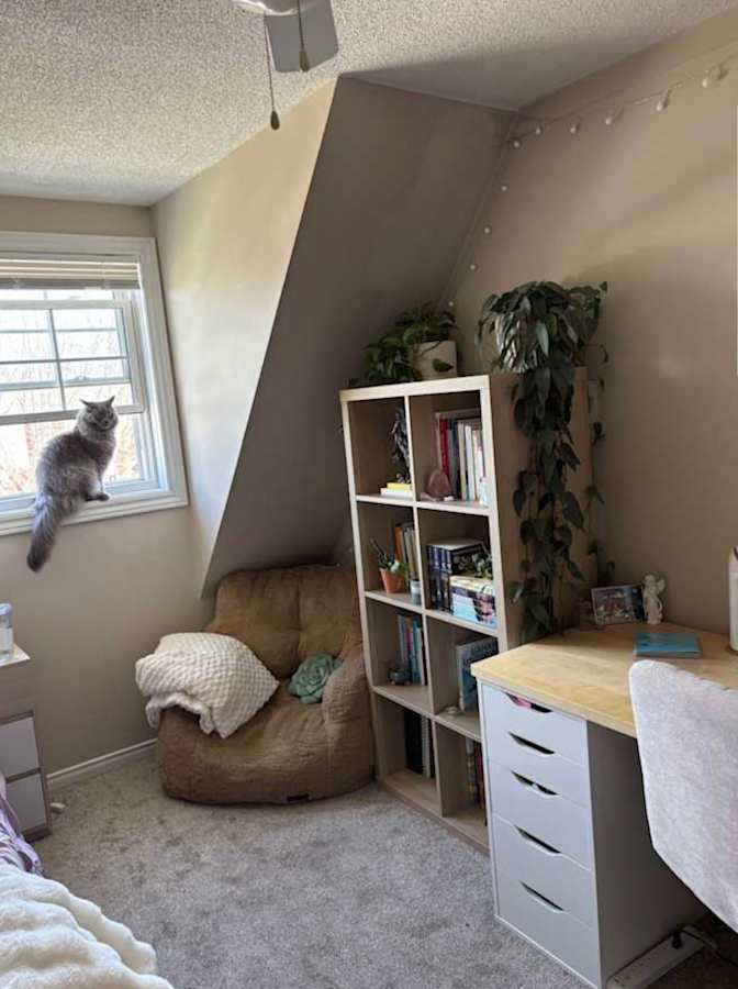 Madison's room