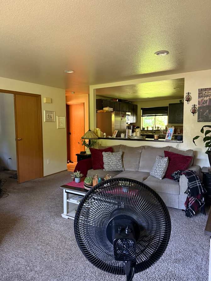 Andrea's room