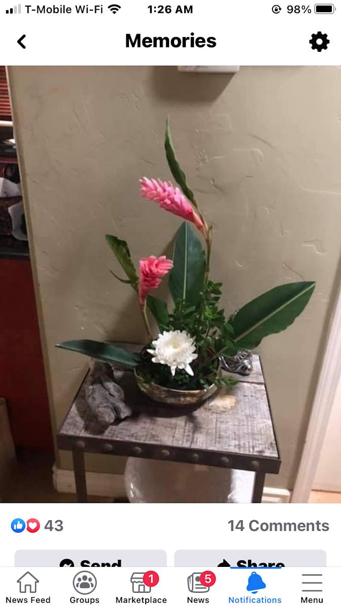 Linda's room