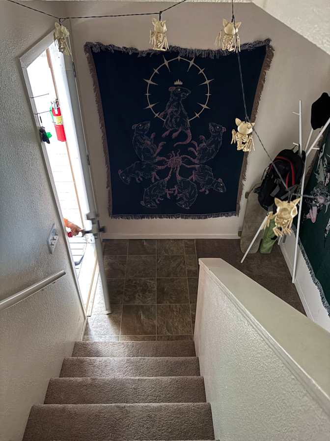 Maddi's room