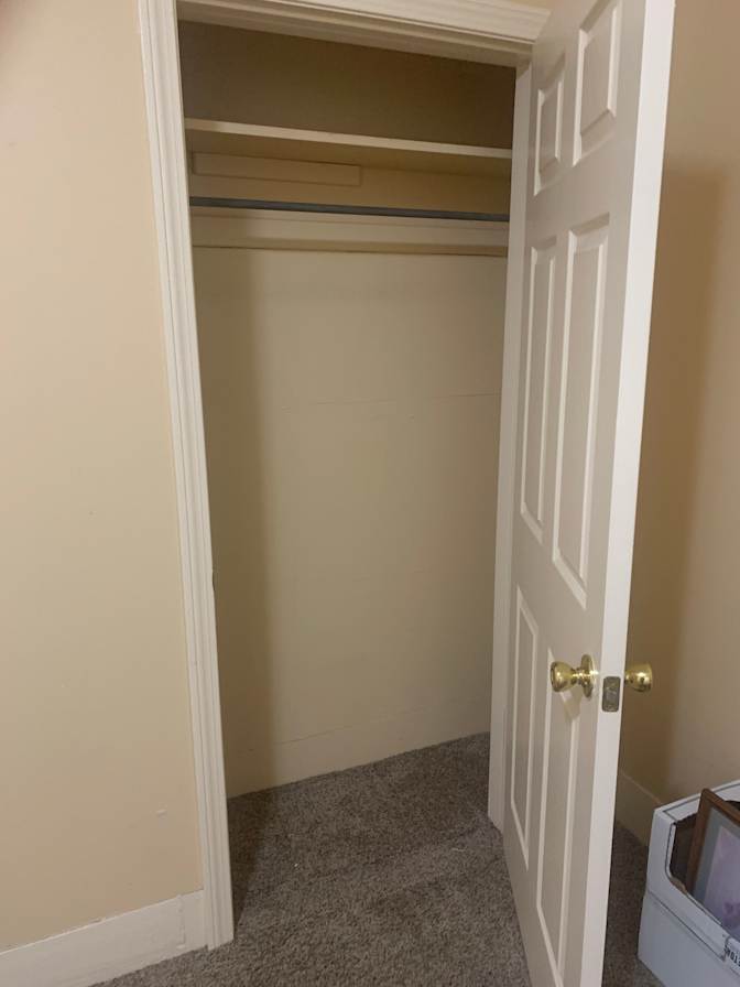 Cat's room