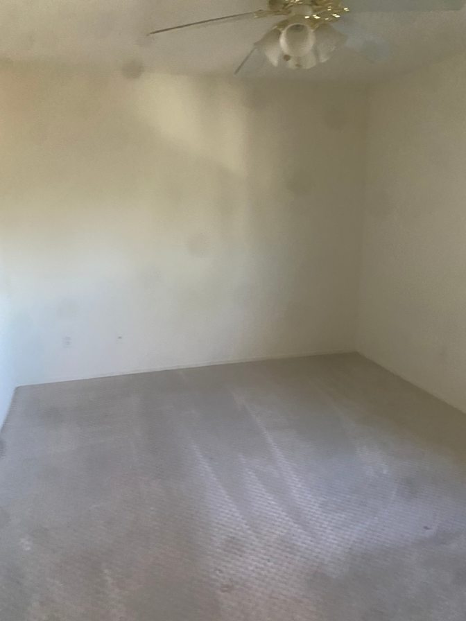 Stacy's room