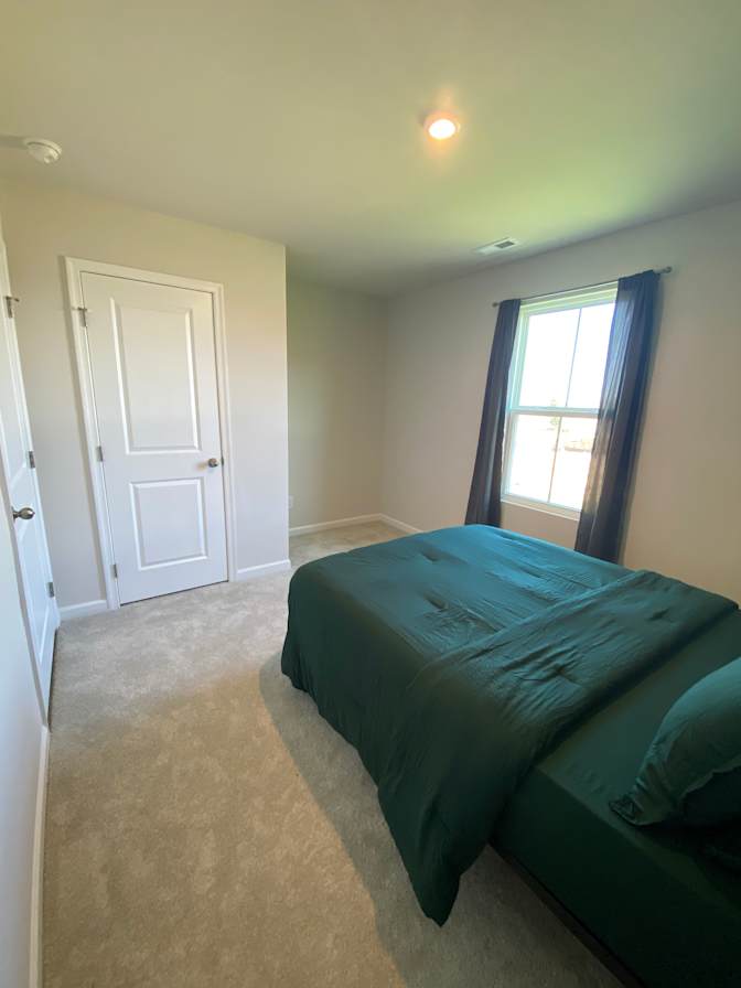 Taz's room
