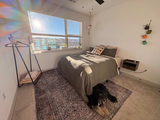 SUMMER's room