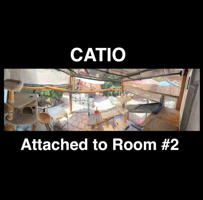 T's room