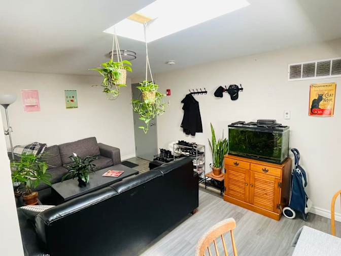 Jayne's room