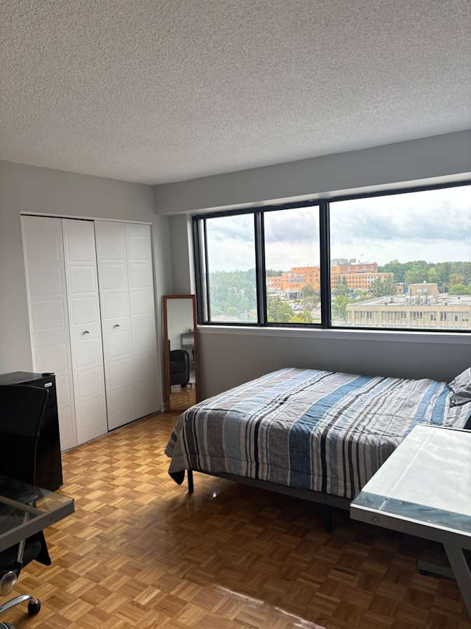 Elli's room