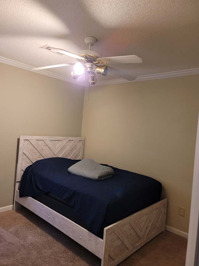 Rose's room