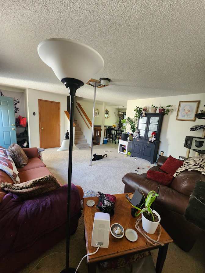 Jacqua's room