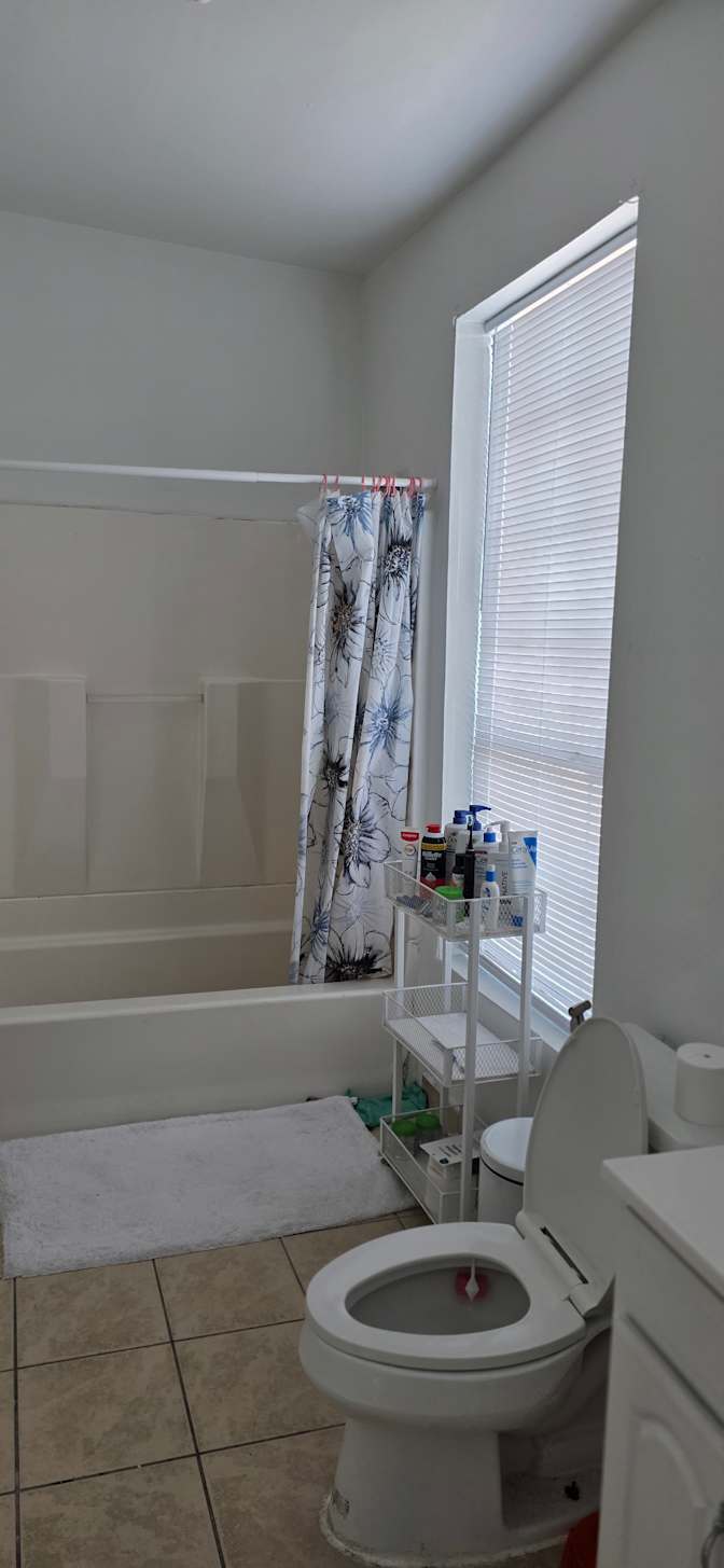 Mohammad's room