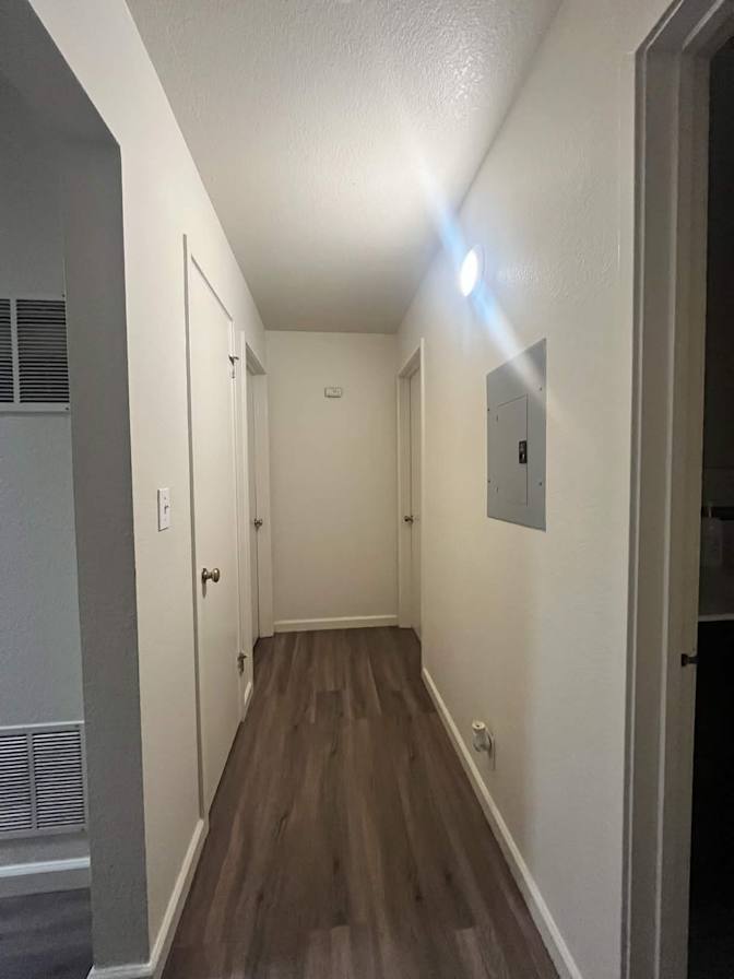 Gianna Lunetta's room