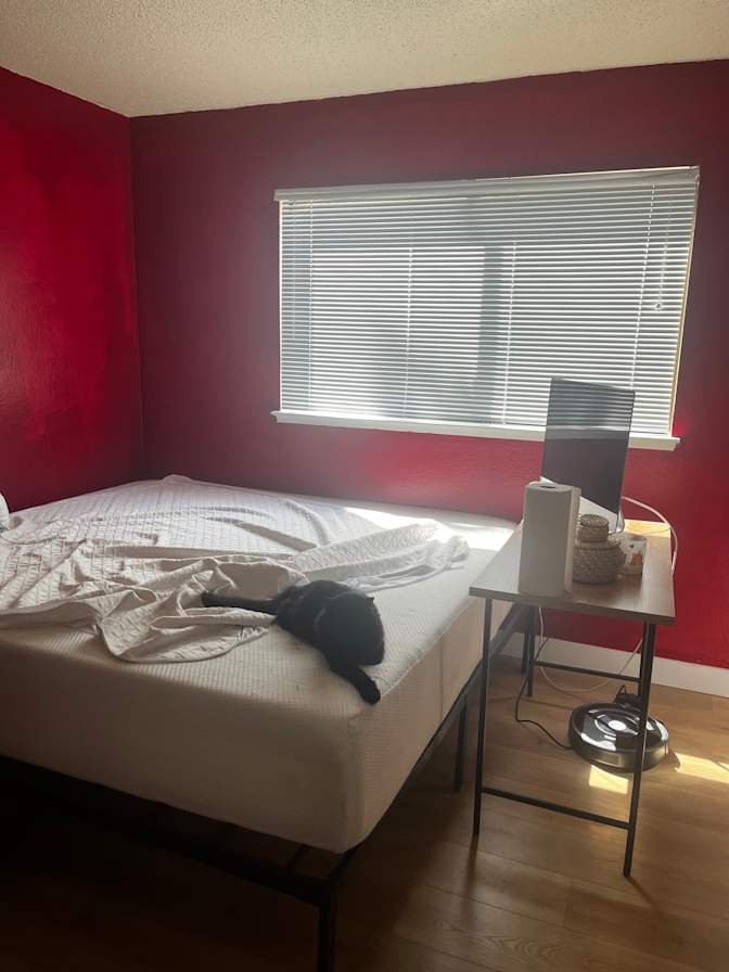 Cheyenne's room