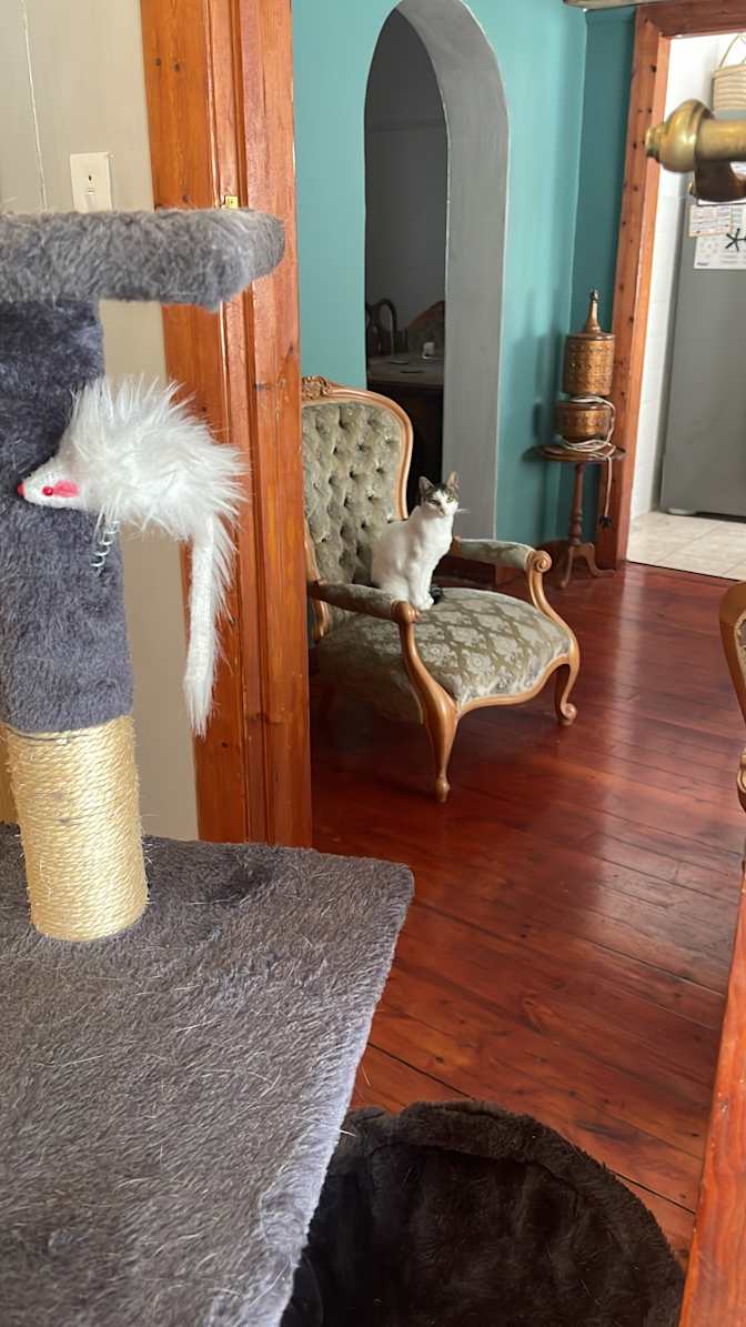 Marli Connoway's room