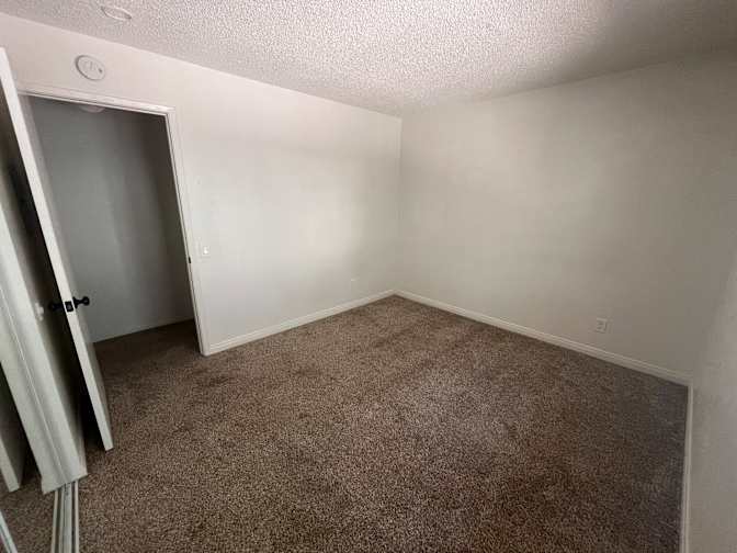 Danielle and Bethany's room