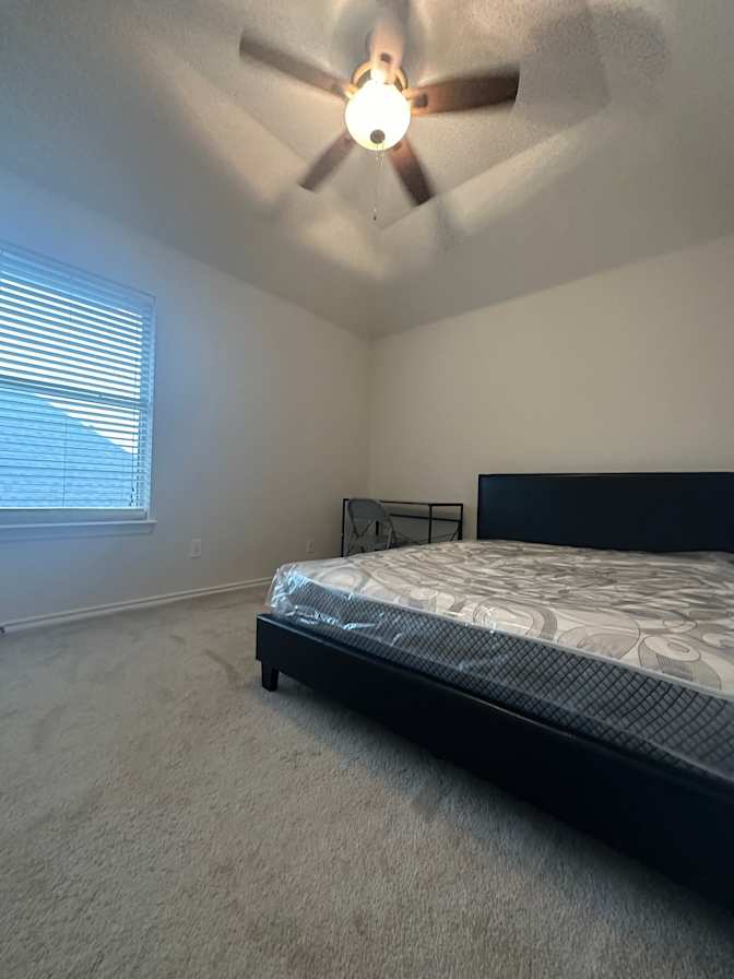 Paulina phuong nguyen's room