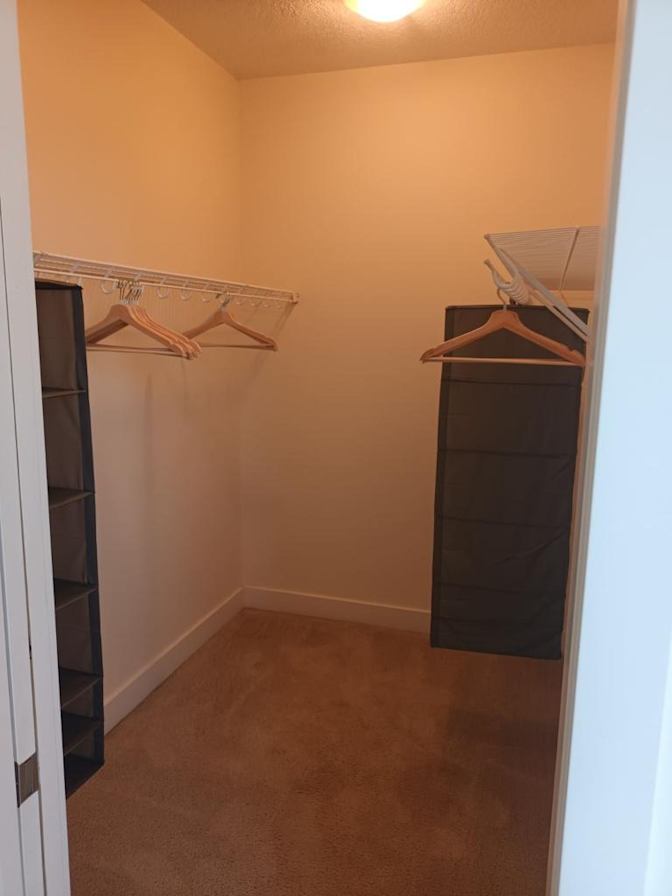 Dan's room
