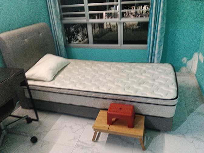 Shahin's room