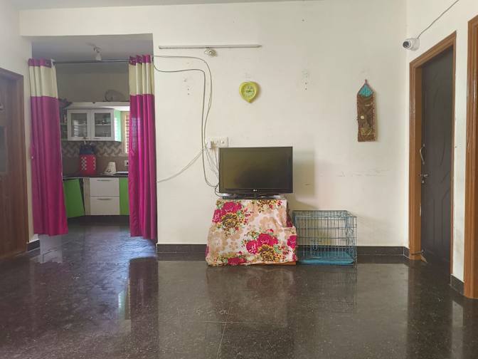 Vidya's room