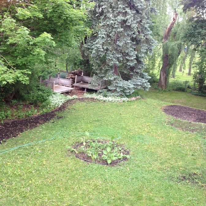 Fariba Hakimi's room