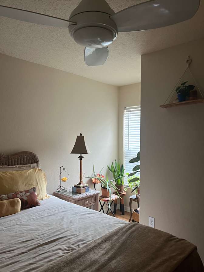 Rosie's room