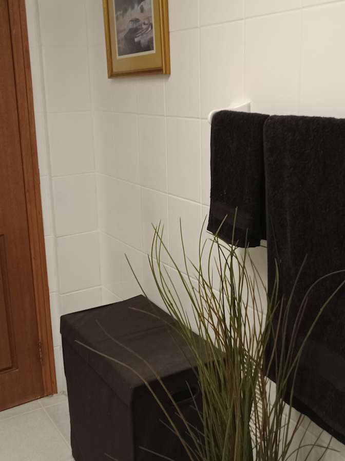 Large in house Basement Apartment shared only with a quite clean early thirties male professional's room