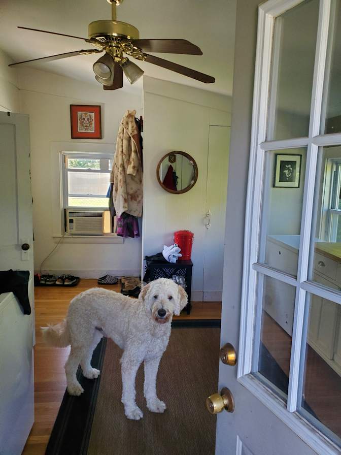 Emmet's room