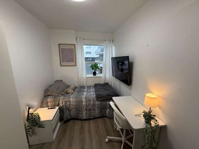 Rabia's room
