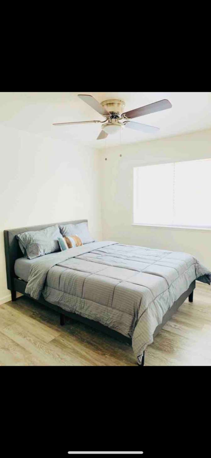 Peter's room