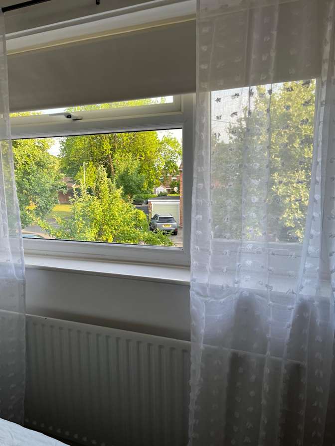 David's room