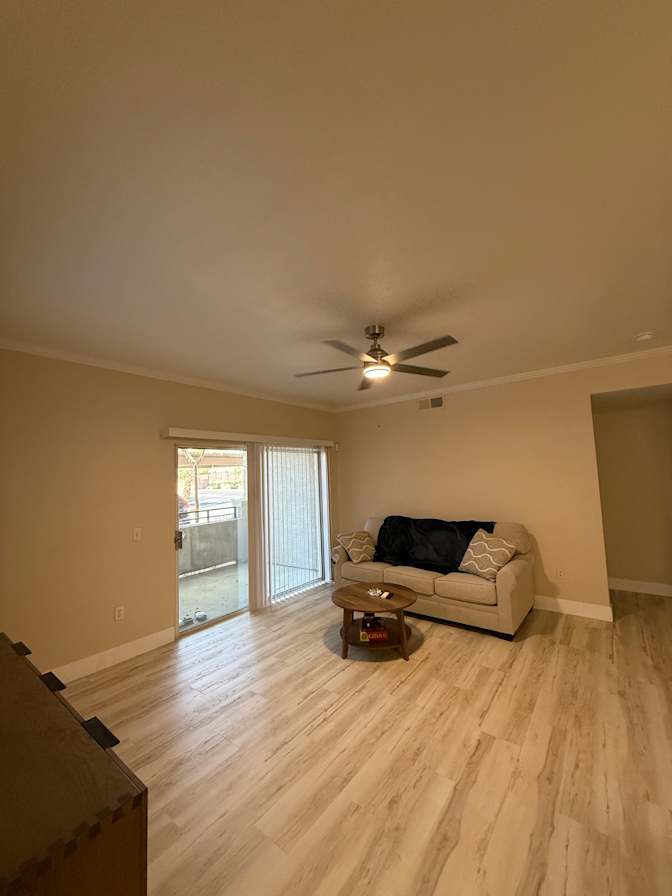 Robert's room