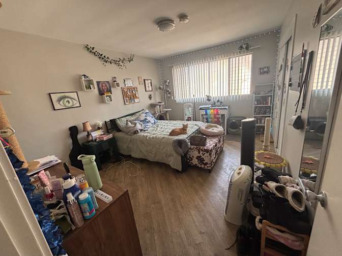 Dani's room