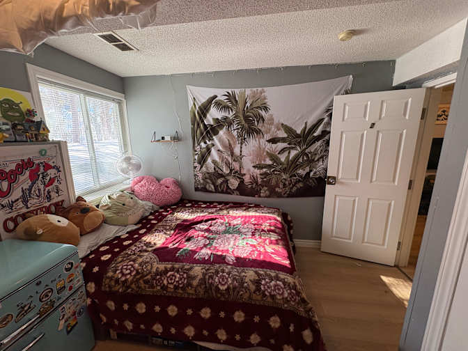 Hayley's room