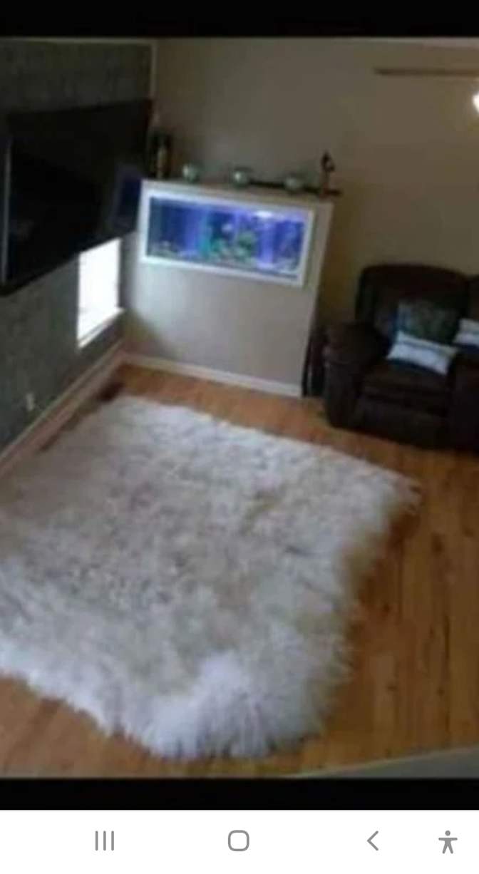 Bee's room