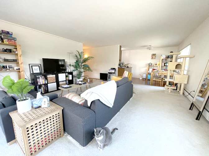 Cameron's room