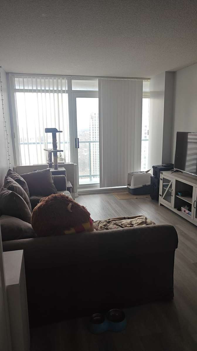 Vaishnavi Ramesh's room