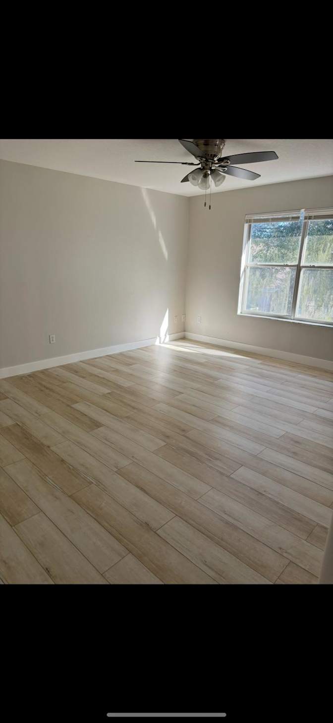 harry mendez's room