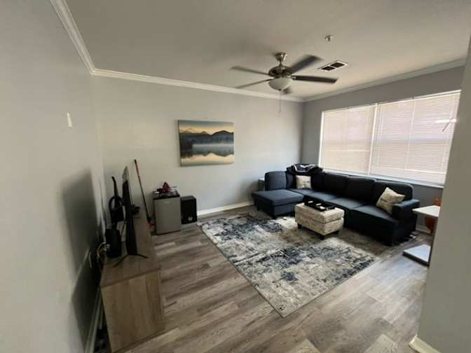 Andrea Parker's room