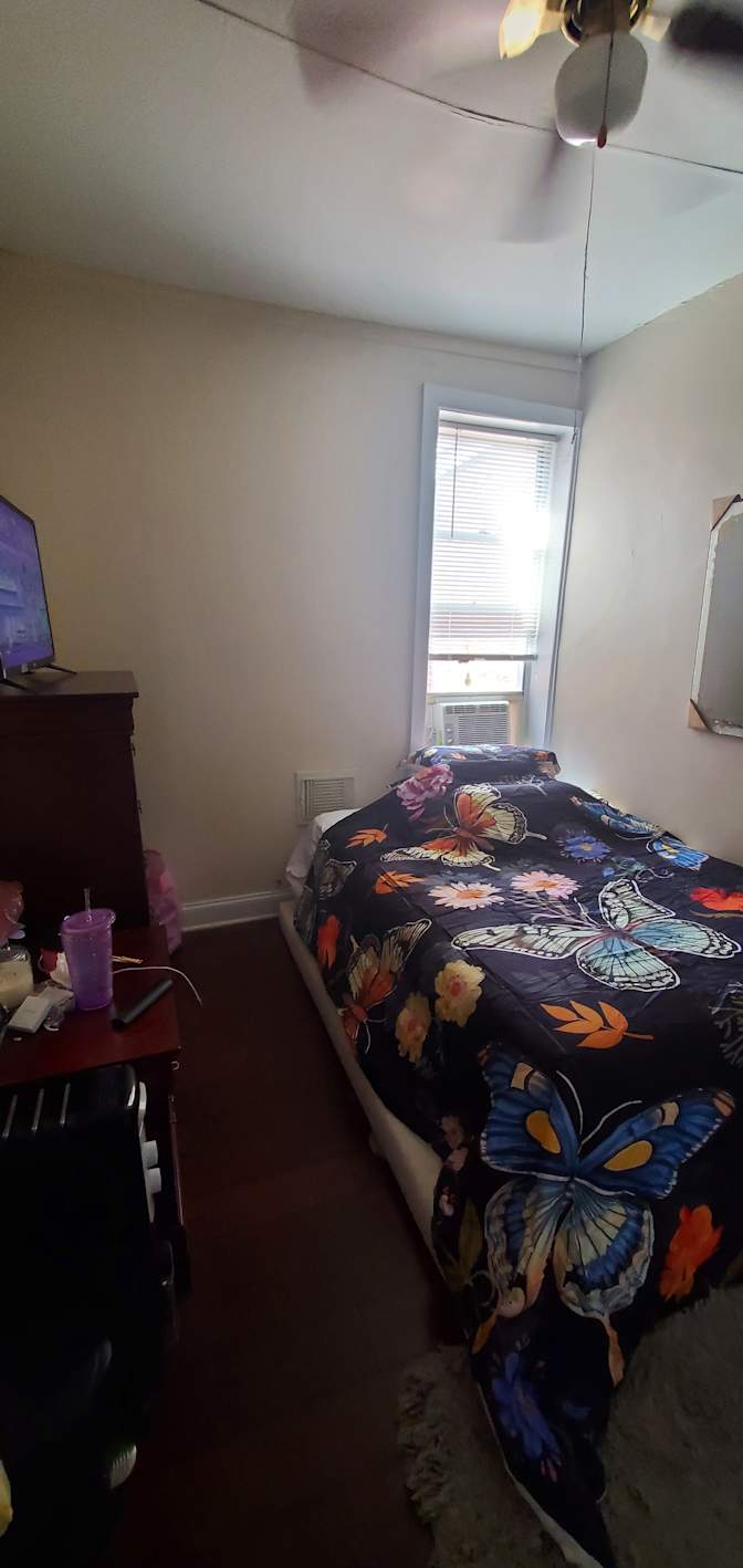 Alexander's room