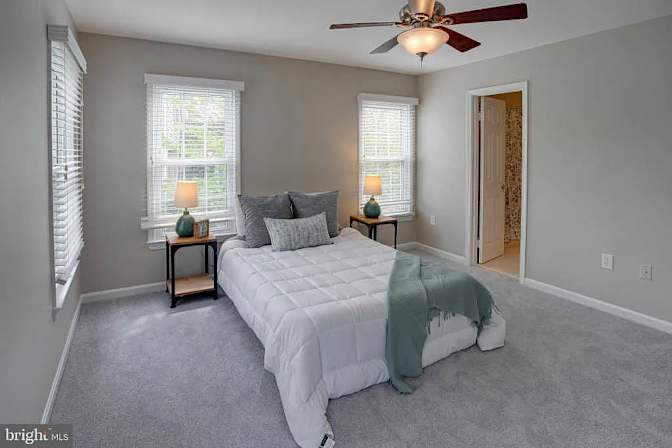 Two Rooms in Tacketts Mill - Lake Ridge, VA's room