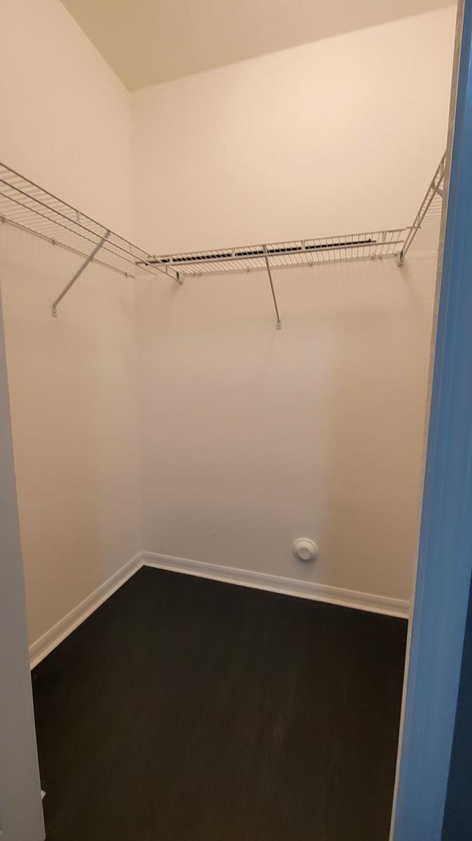 Zarish's room