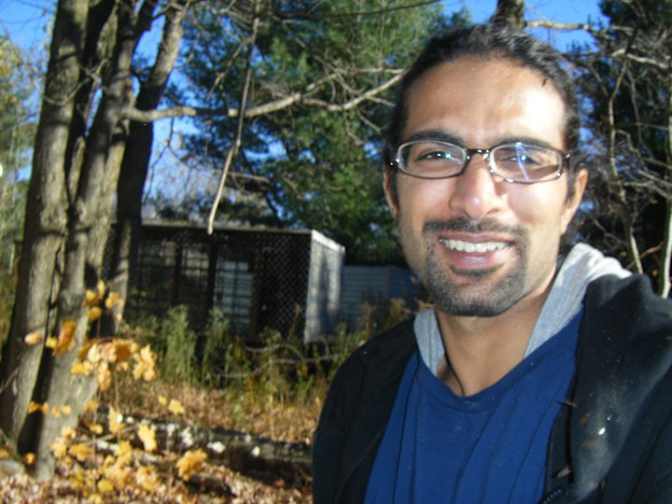mohammad mirza