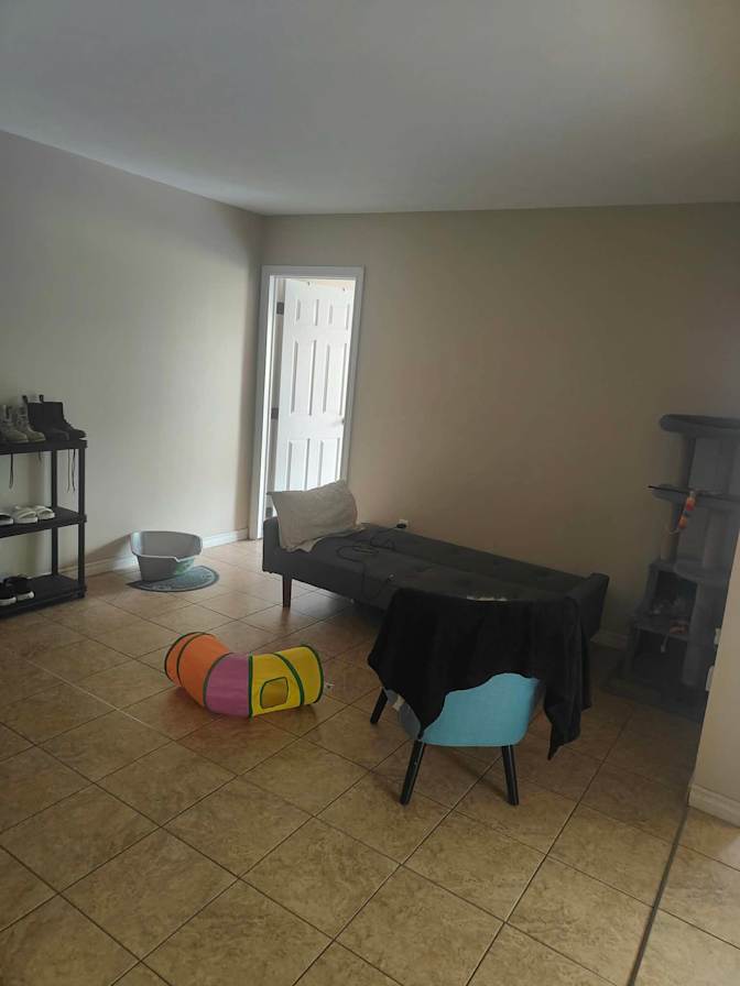 Fadia's room