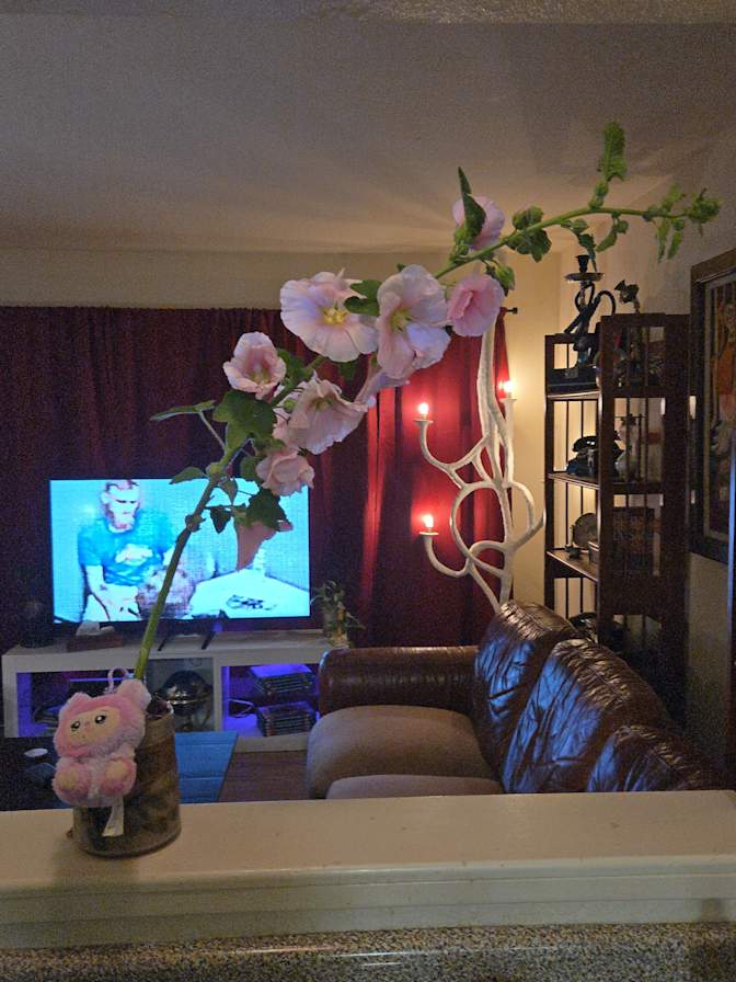 Nicolas Guiniems's room