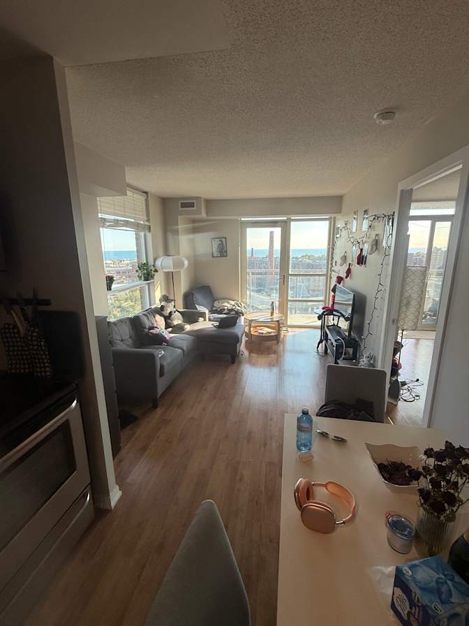 Kaytee's room