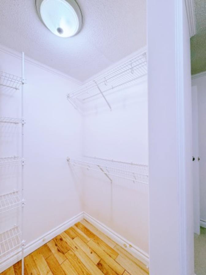 Lily's room