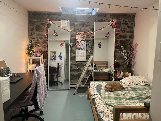 darius klassen's room