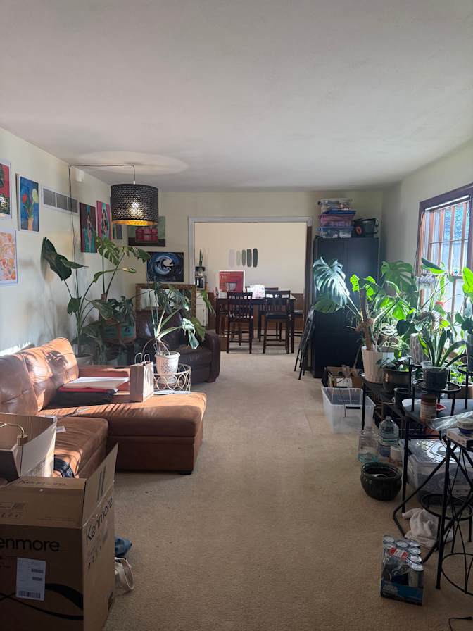 Meghan's room