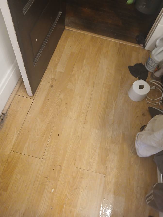 Carlos Cook's room