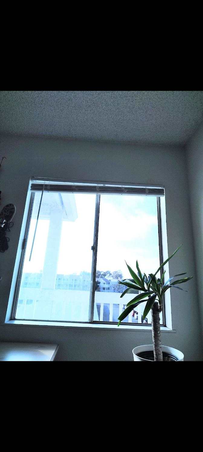 Jan's room