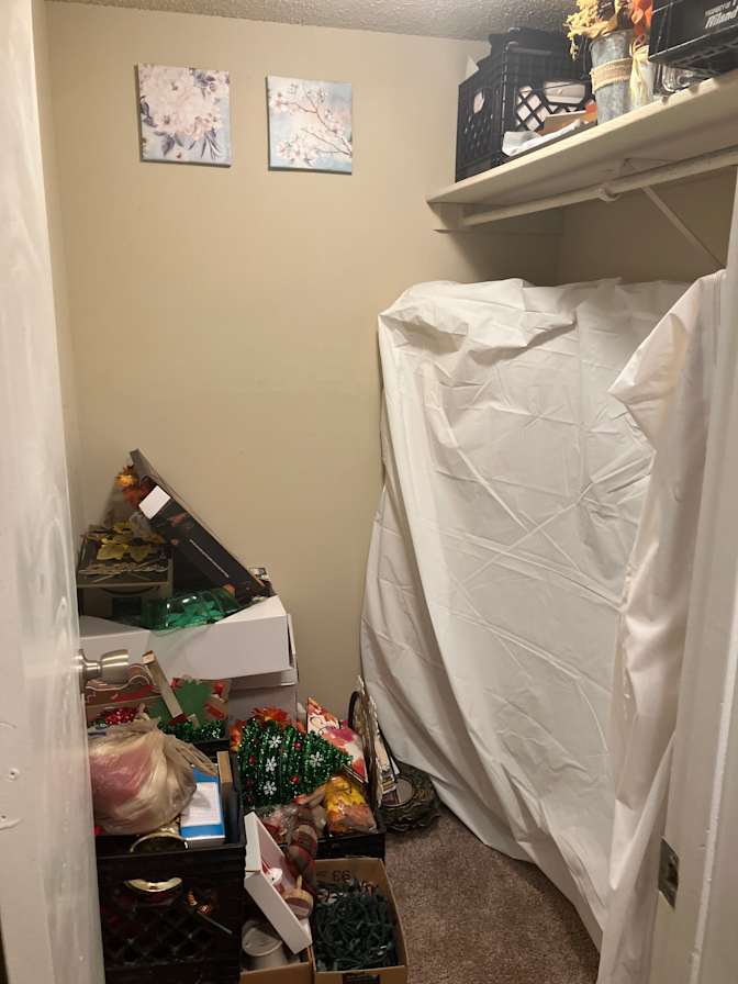 Quiet Professional's room